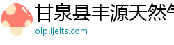 甘泉县丰源天然气有限责任公司